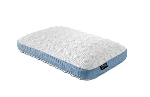 Comfortable luxury pillow with blue and white design.